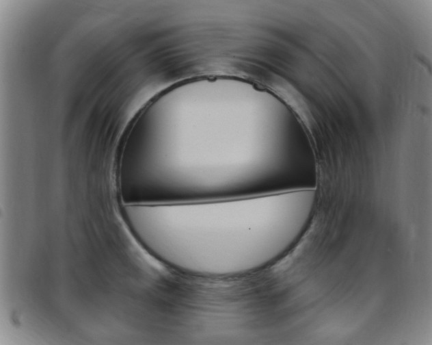X0000097831141200803140822
