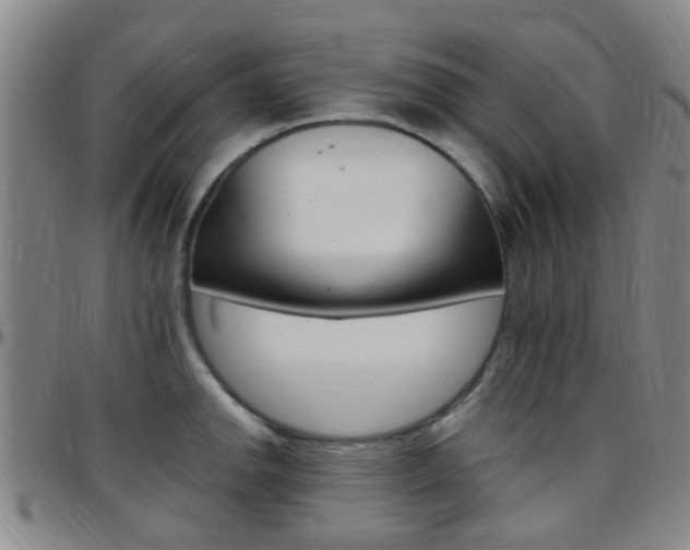 X0000097831142200803140822