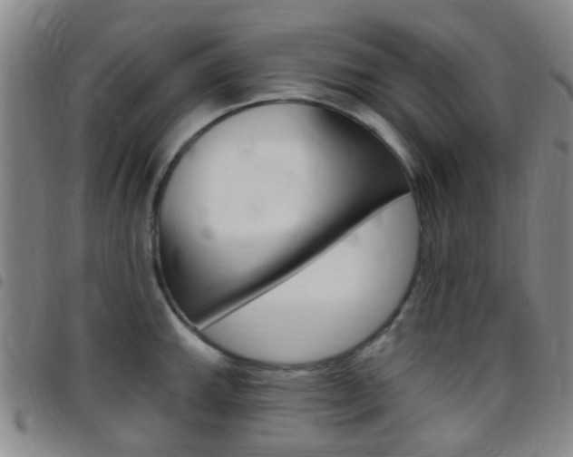 X0000097831143200803140822