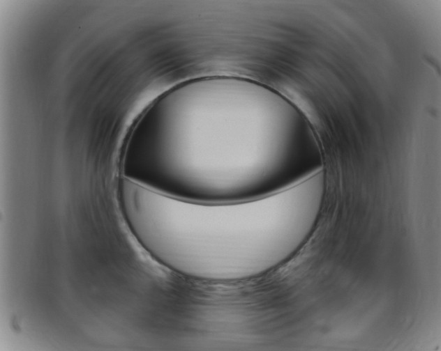 X0000097831144200803140822