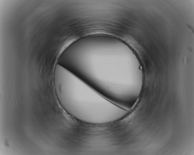 X0000097831145200803140822