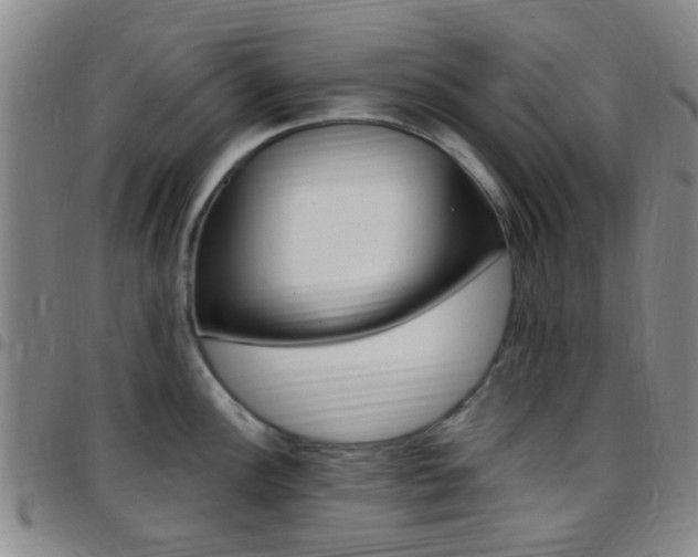 X0000097831148200803140822