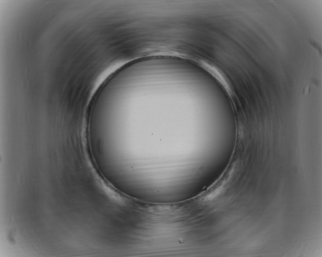 X0000097831149200803140822