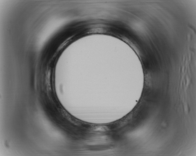 X0000097831150200803140822