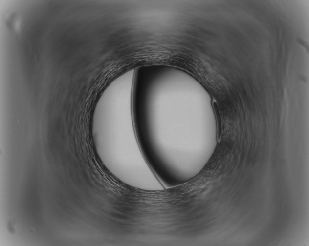 X0000097831153200803140822