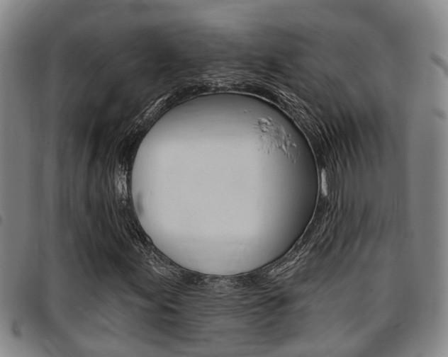 X0000097831155200803140822
