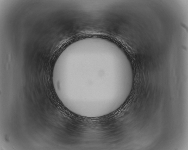 X0000097831157200803140822