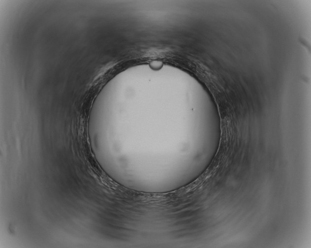 X0000097831158200803140822
