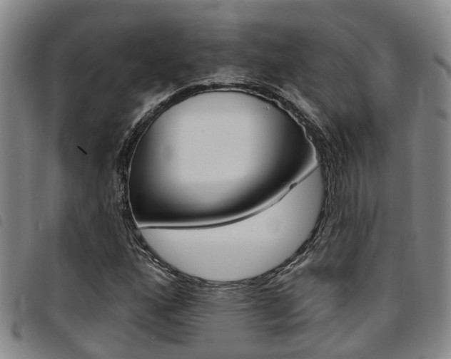X0000097831160200803140822