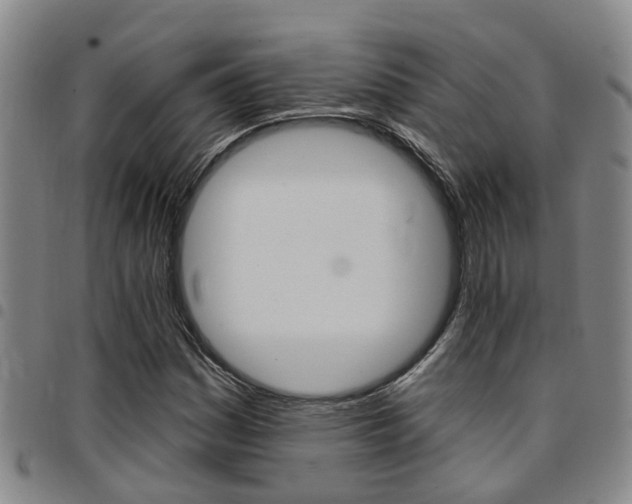X0000097831161200803140822
