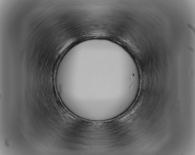 X0000097831162200803140822