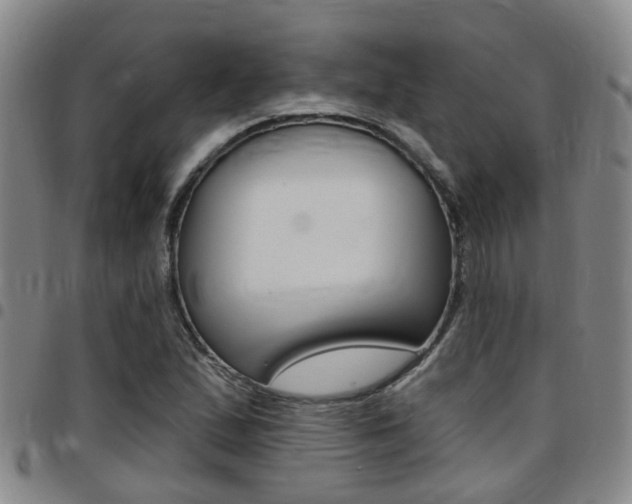 X0000097831167200803140822