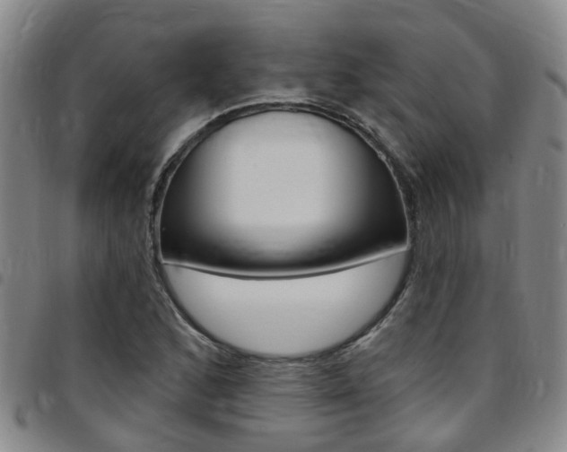 X0000097831168200803140821