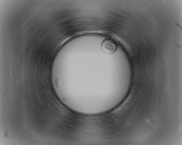 X0000097831169200803140821