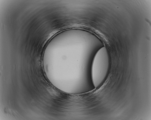 X0000097831170200803140821
