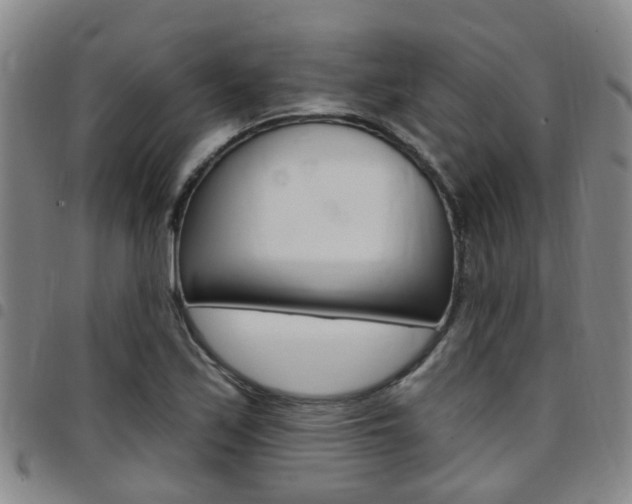 X0000097831171200803140821