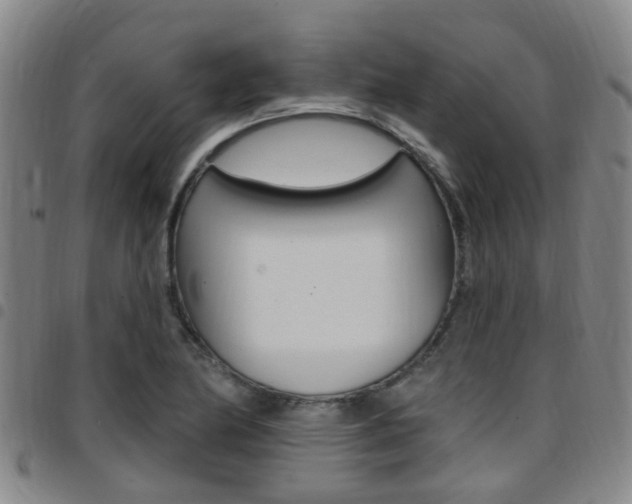 X0000097831174200803140821