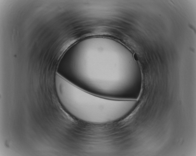 X0000097831177200803140821