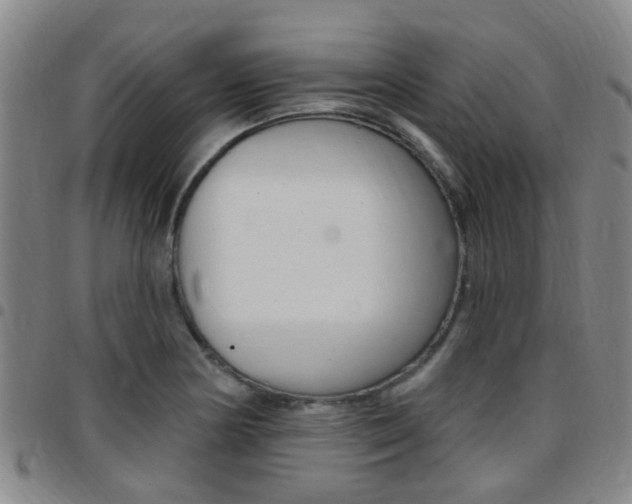 X0000097831178200803140821