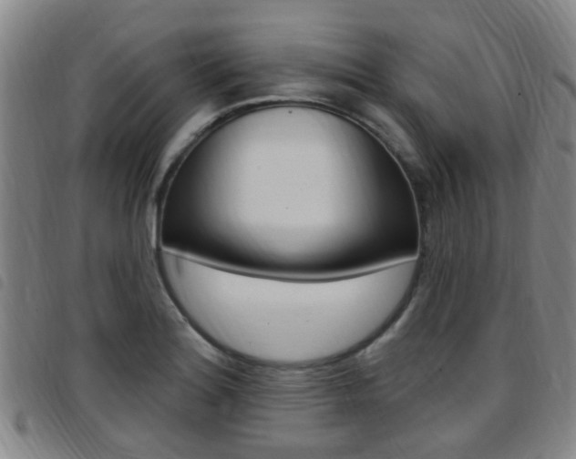 X0000097831180200803140821