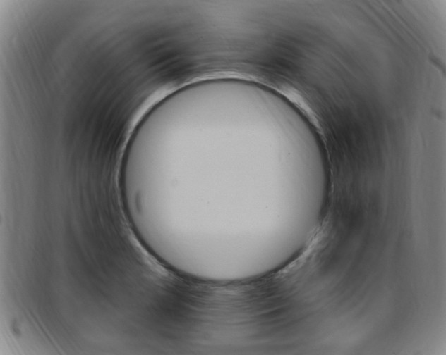 X0000097831181200803140821