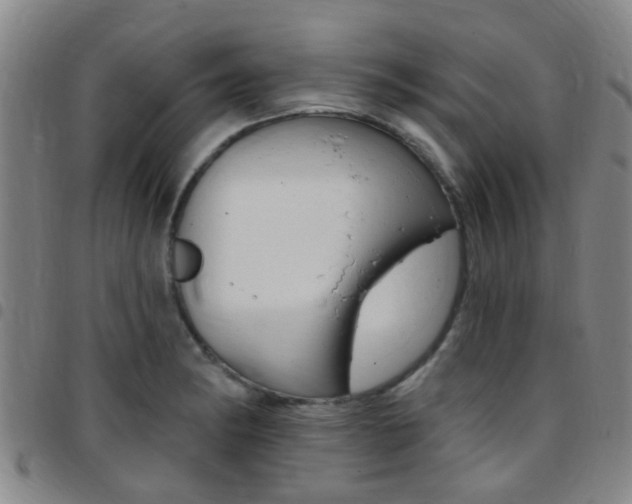X0000097831182200803140821