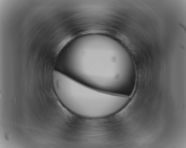 X0000097831185200803140821