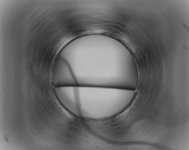 X0000097831186200803140821