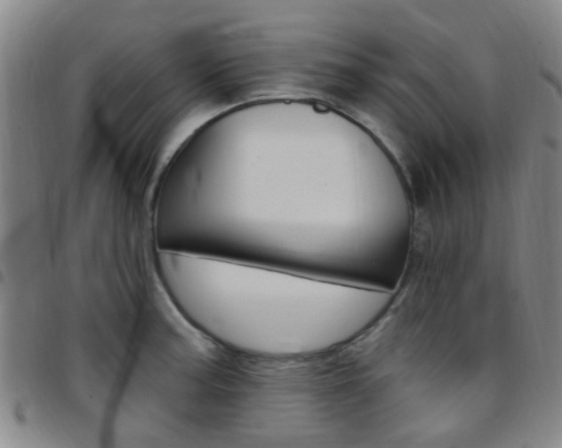 X0000097831187200803140821