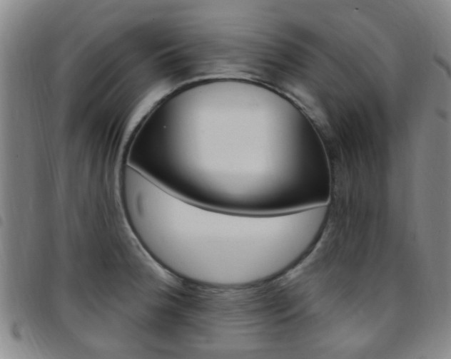 X0000097831188200803140821