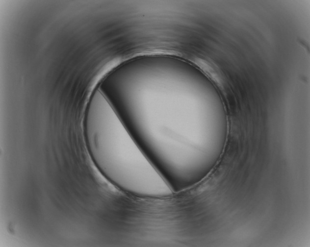 X0000097831189200803140821