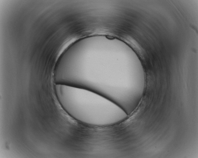 X0000097831190200803140821