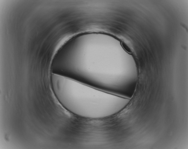 X0000097831191200803140821