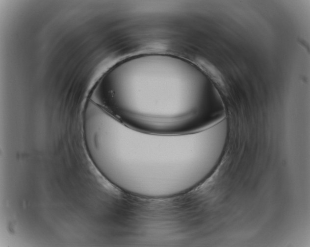 X0000097831192200803140821