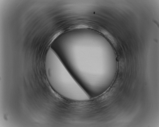 X0000097831193200803140821