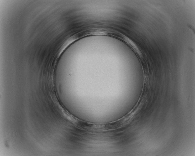 X0000097831194200803140821