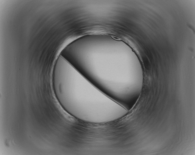 X0000097831195200803140821