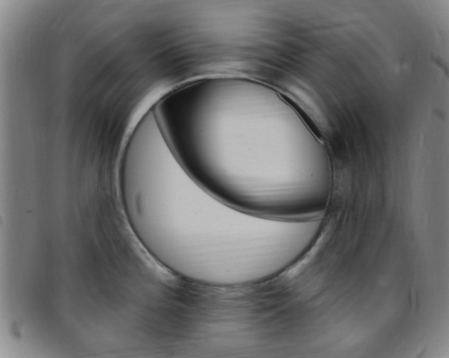 X0000097831196200803140821