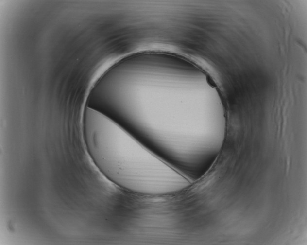 X0000097831199200803140821