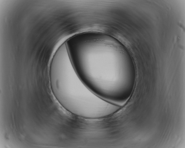 X0000097831200200803140821