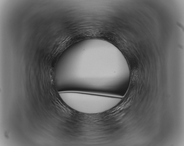 X0000097831202200803140820