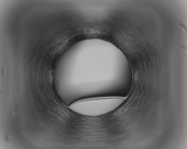 X0000097831204200803140820
