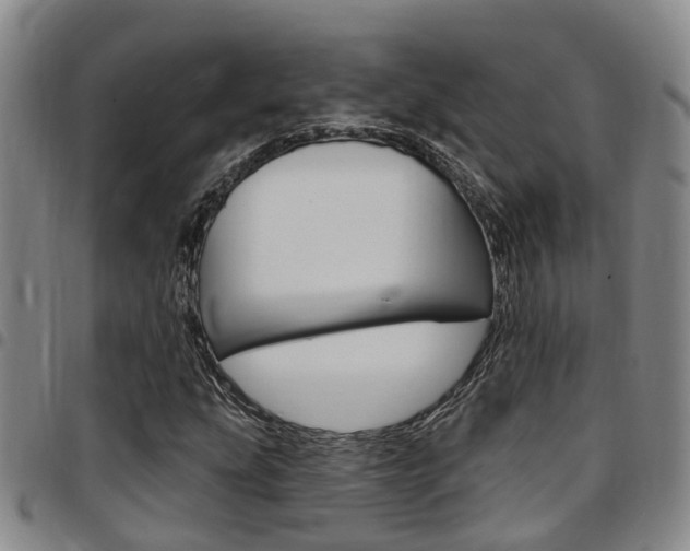 X0000097831207200803140820
