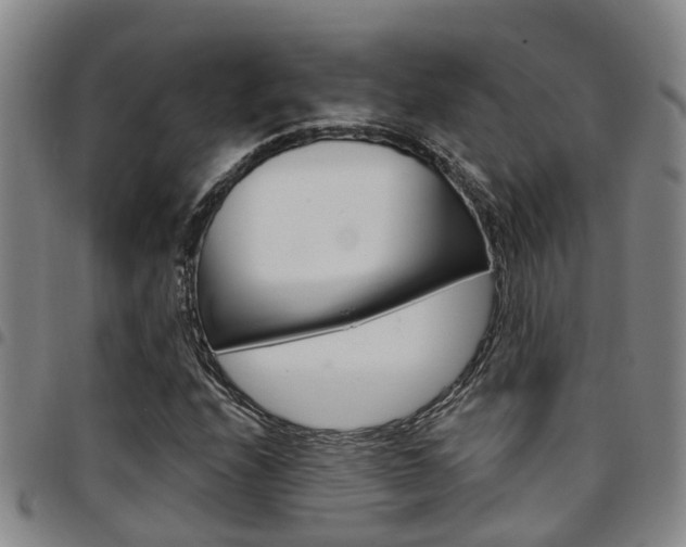 X0000097831208200803140820