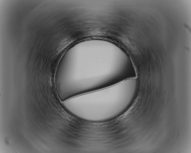 X0000097831209200803140820