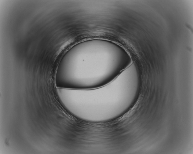X0000097831210200803140820