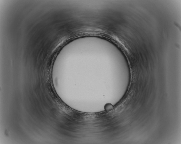 X0000097831211200803140820