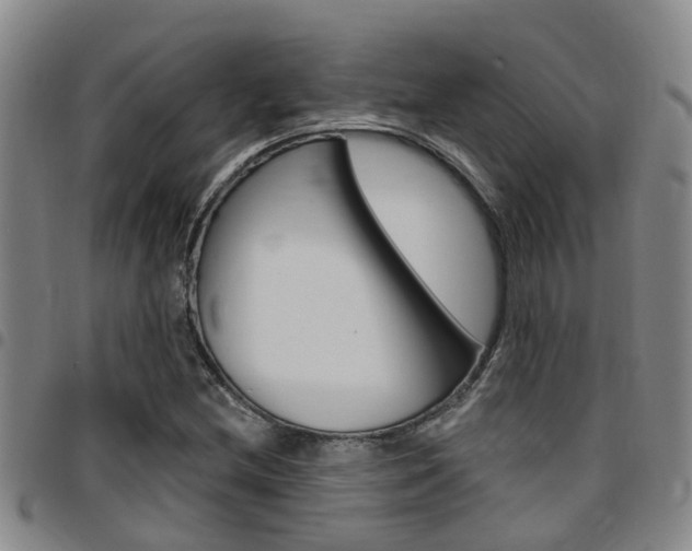 X0000097831212200803140820