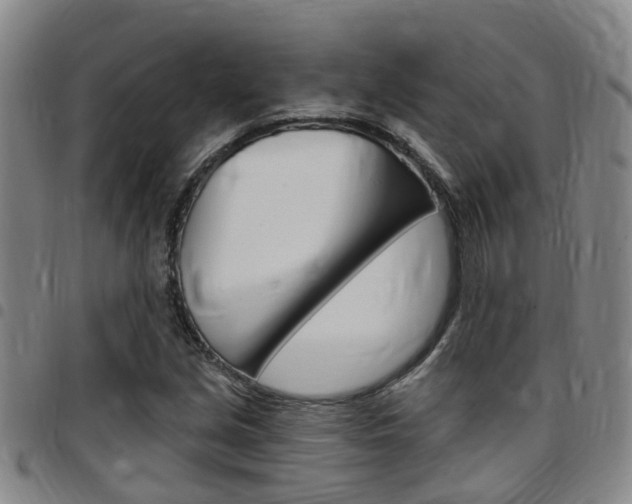 X0000097831213200803140820
