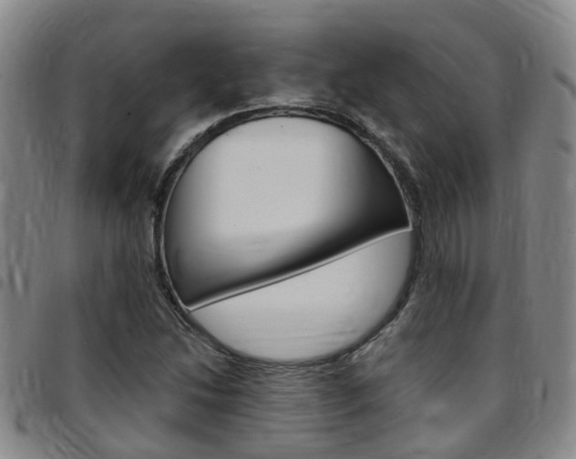 X0000097831214200803140820